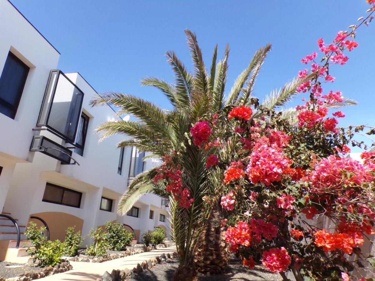 Amaya Ocean View Apartment 코스타 데 안티과 외부 사진